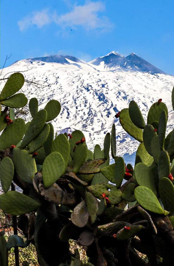 La Pigna Dell'Etna Leilighet Nicolosi Eksteriør bilde